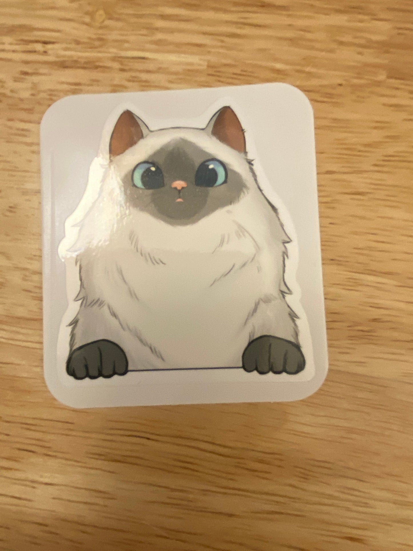 Grey and White Himalayan Cat Sticker, Ragdoll Cat Sticker, White and Gray Faced Cat Sticker, Fluffy Cat sticker, cat with hazel eyes