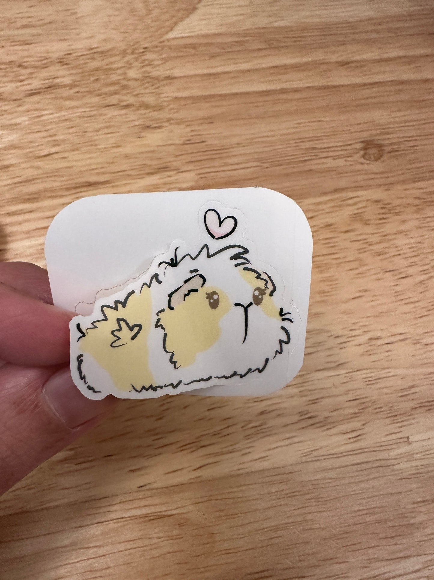 Guinea Pig Sticker, Guinea Pig with heart Sticker, Cute GuineaPig Sticker