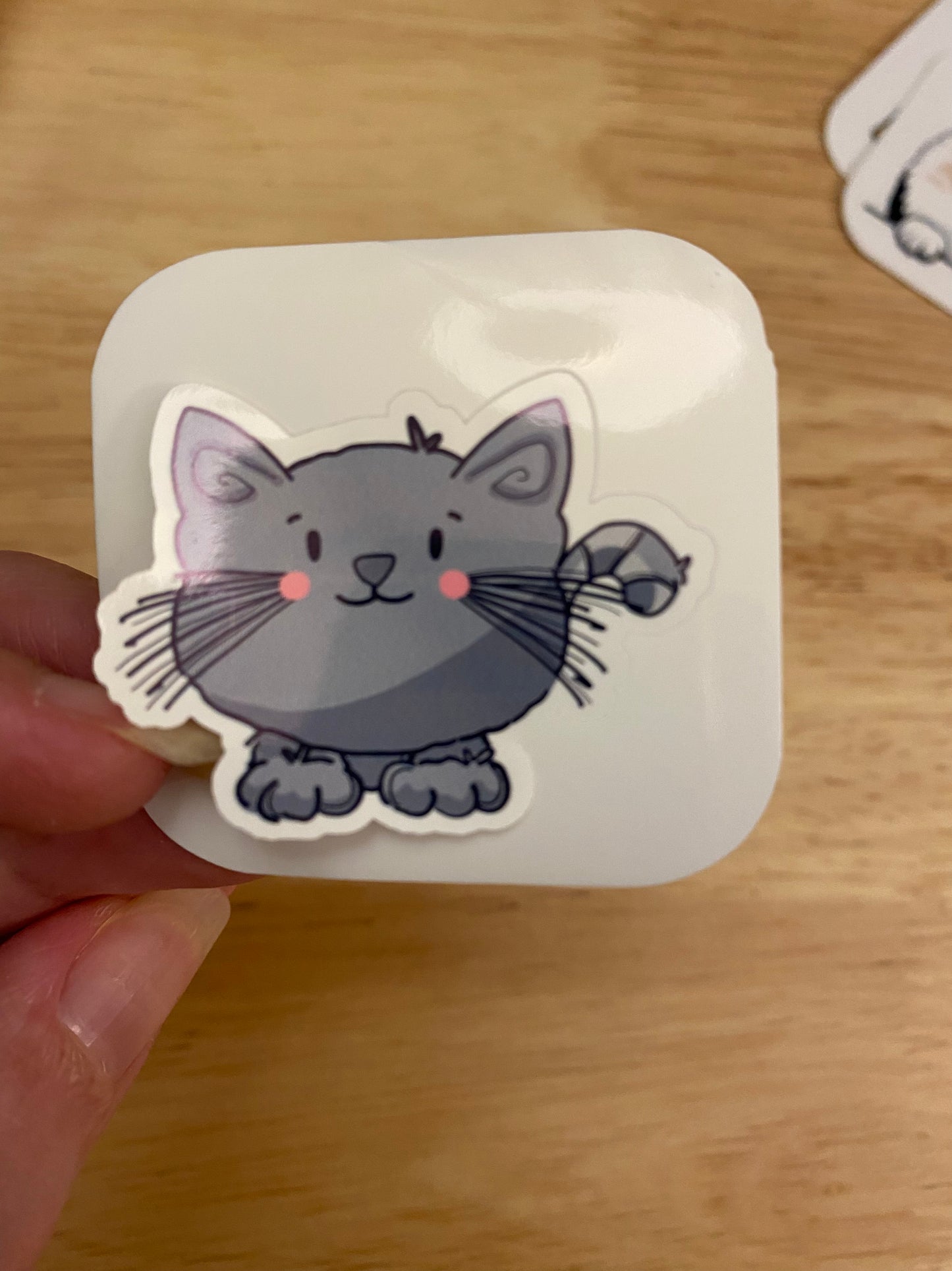 Grey Kitten  STICKER