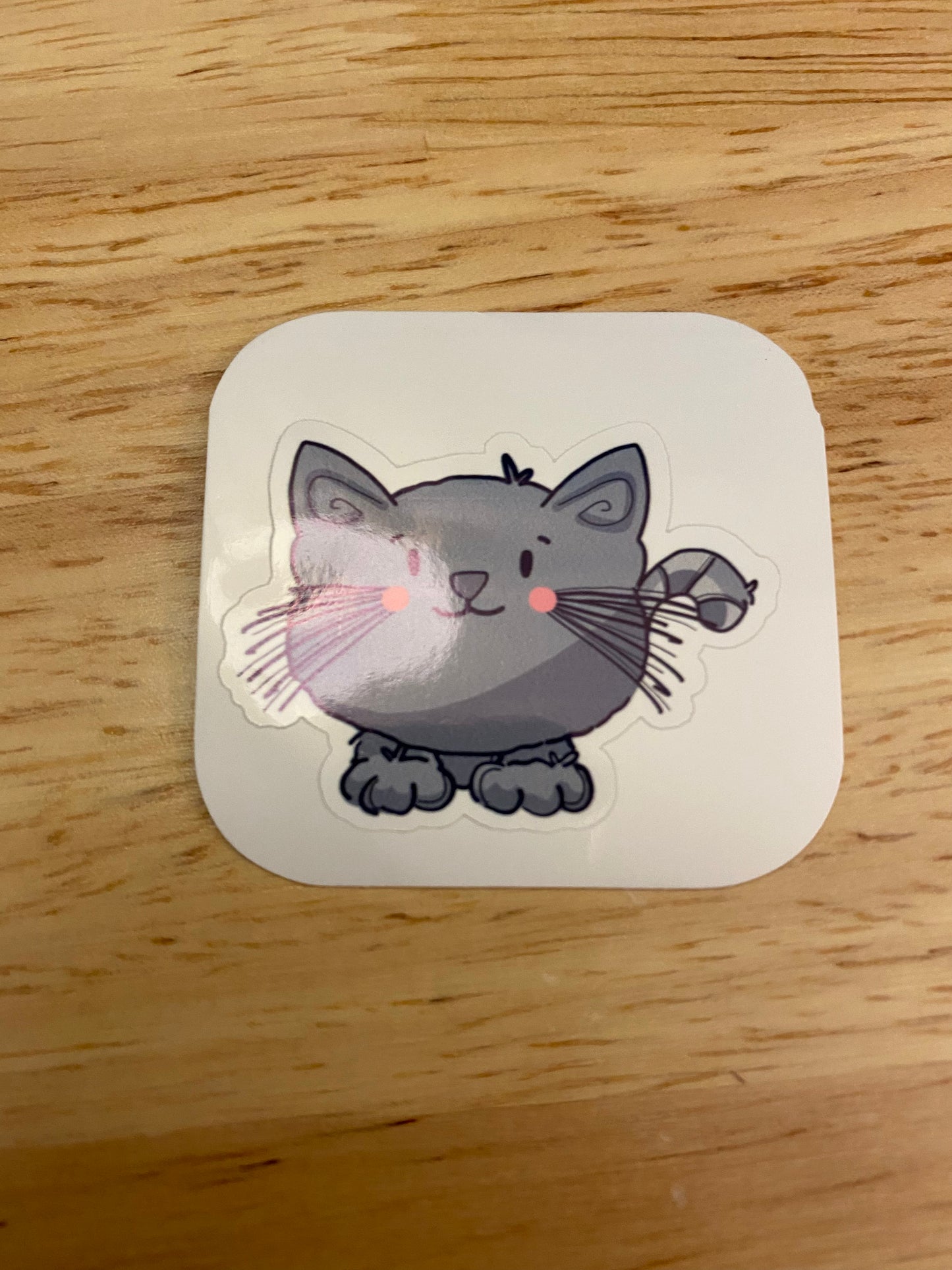 Grey Kitten  STICKER