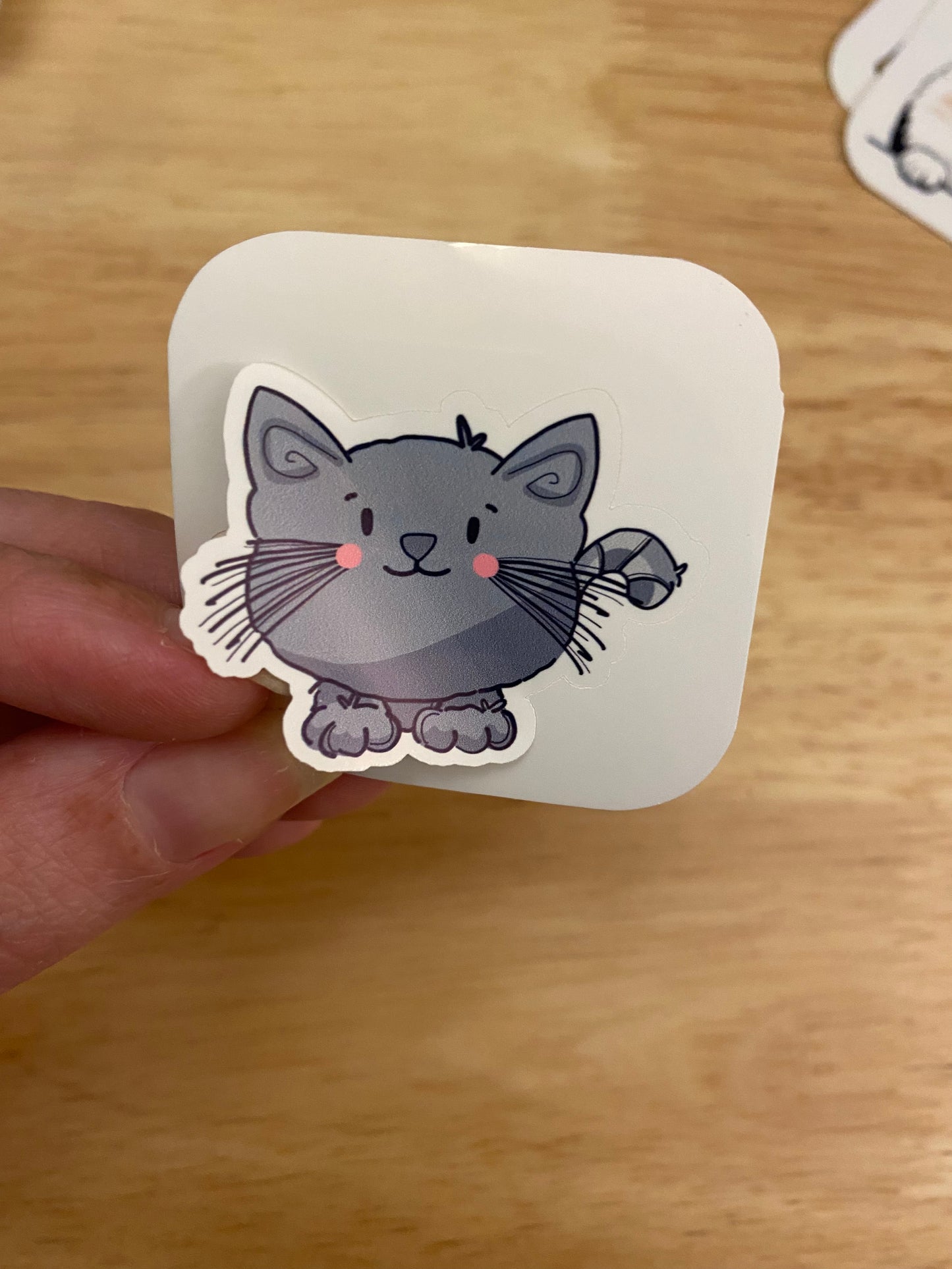 Grey Kitten  STICKER