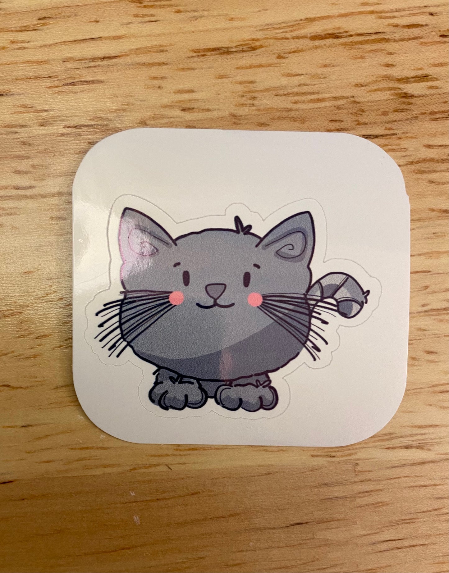 Grey Kitten  STICKER