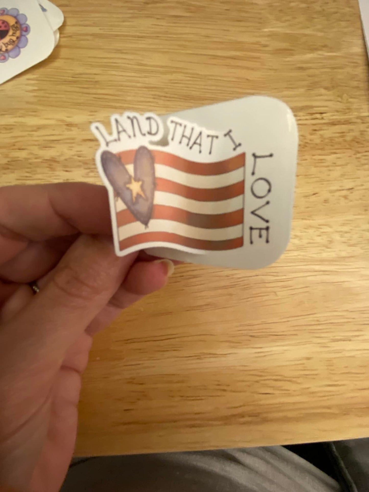 Land that I love America Flag STICKER