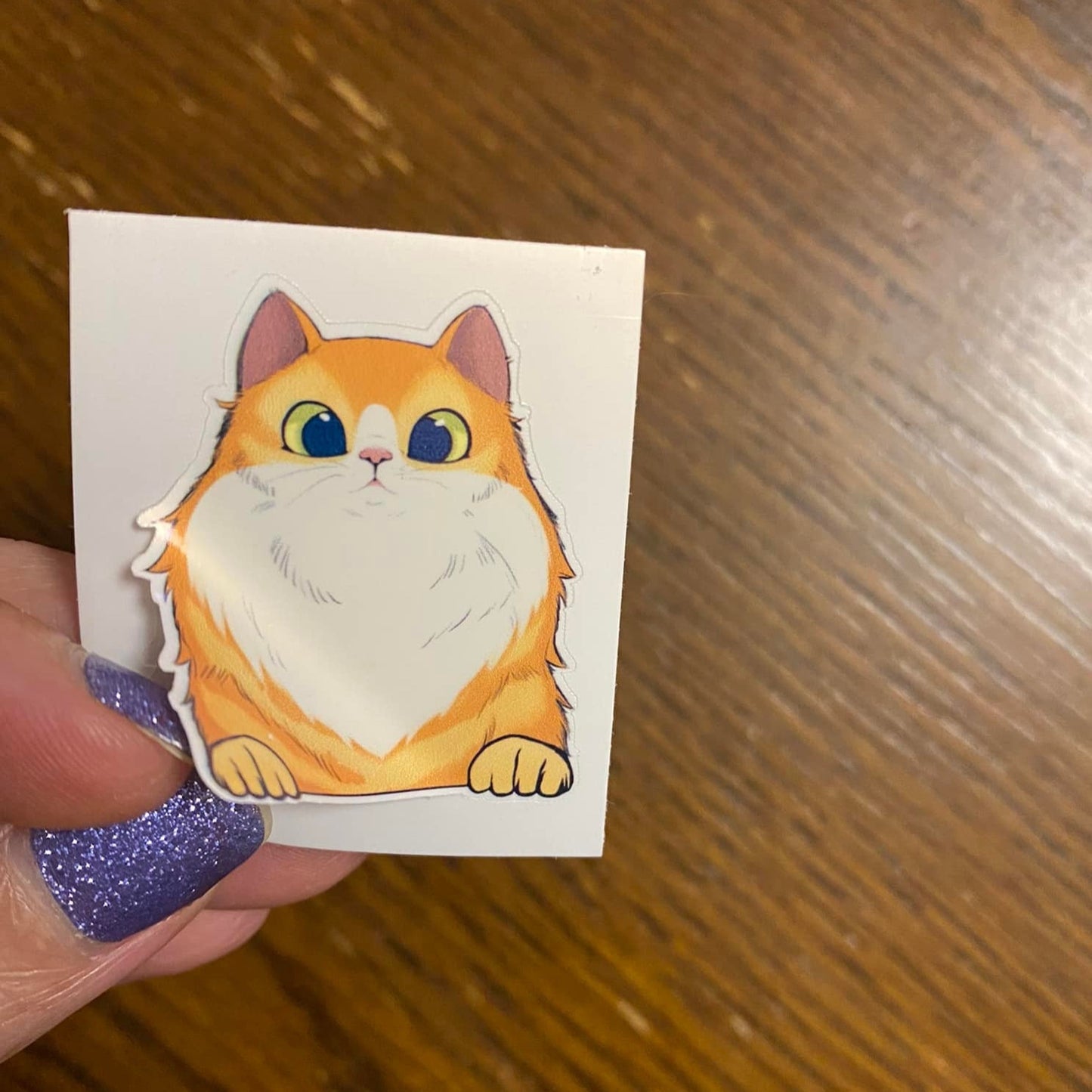 Fluffy Red Cat with white STICKER
