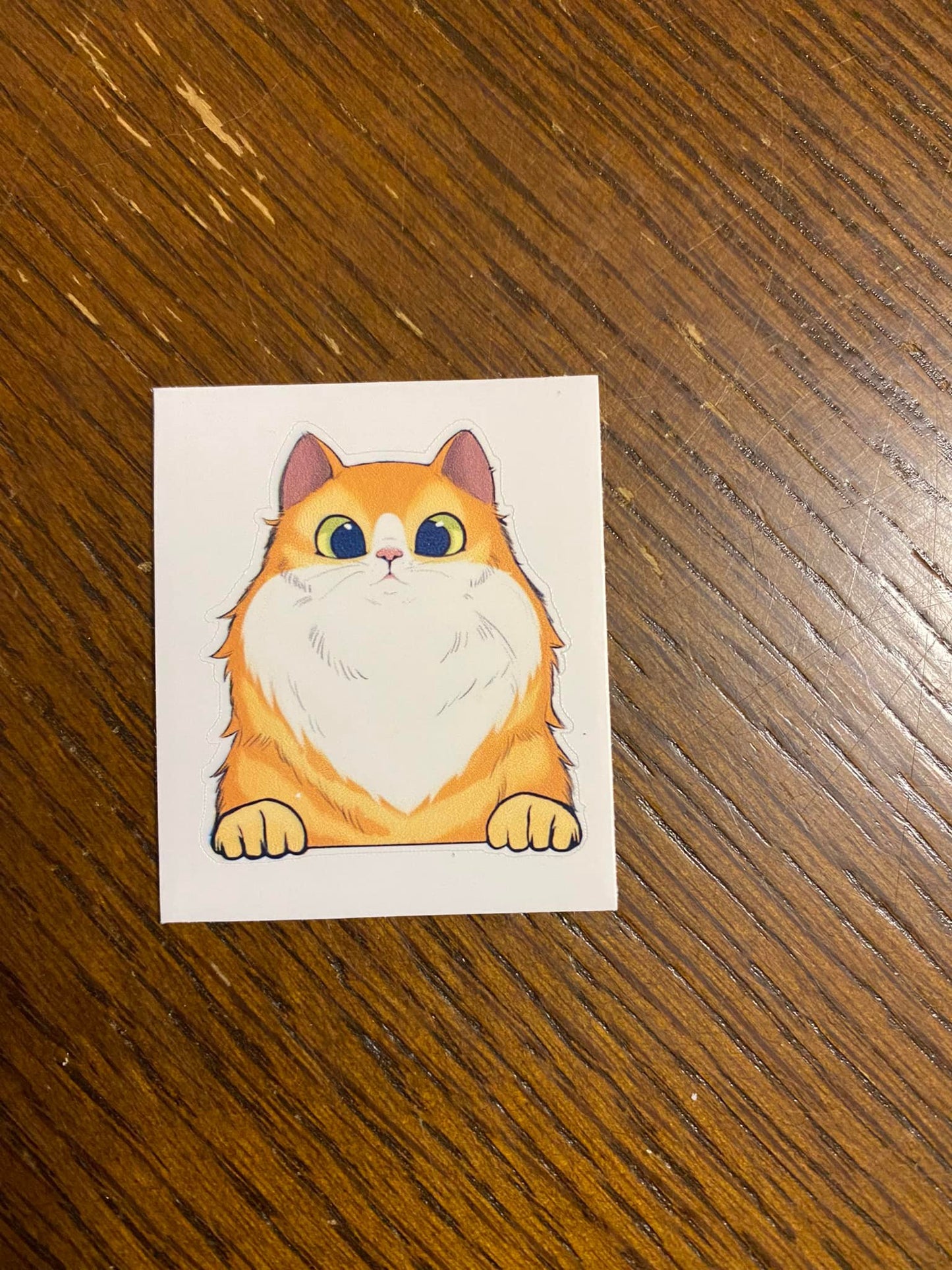Fluffy Red Cat with white STICKER