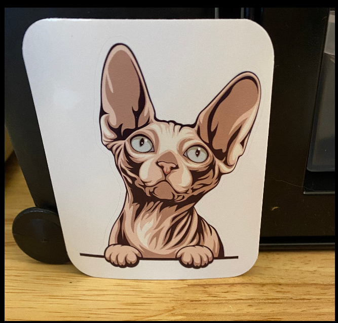 Sphynx cat sticker